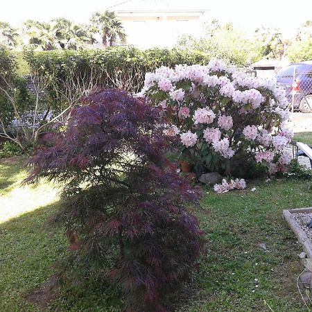 Les Floralies Bis Appartement Pau Buitenkant foto