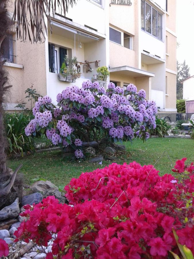 Les Floralies Bis Appartement Pau Buitenkant foto